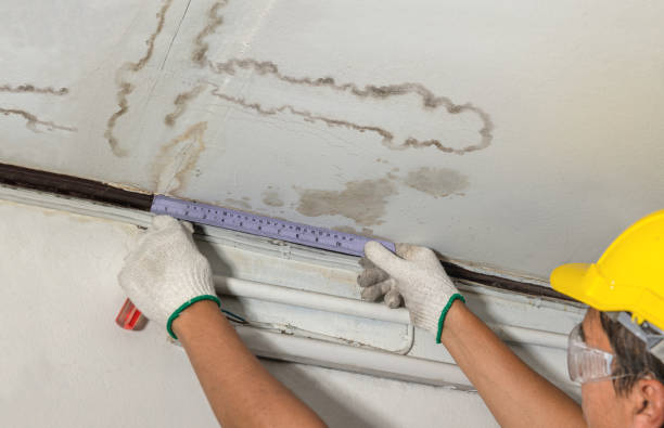 Reliable Water Damage contractor in Perrinton, MI by Water Damage Irwin